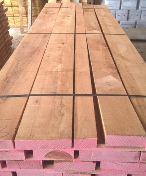 Beech lumber and logs for sale